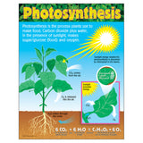 Photosynthesis Learning Chart, 17 x 22