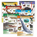 Exploring... Series Learning Charts Combo Pack, Set of 6