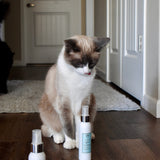 Caramel Cappuccino Eau de Pooch Pet Fragrance and Hair Detangler Spray