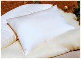 Wool Wool Toddler Pillow In Org Sateen Sheeting Case