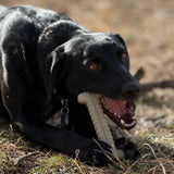 Tough Bone Nylon Chew Bone | Ultra-Durable Dog Toy for Aggressive Chewers | SodaPup