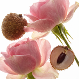 Rose & Litchi Eau de Parfum