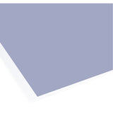 Walk-n-Clean 31.5''x51'' Gray