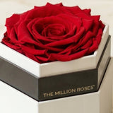 One in a Million™ White Hexagon Box | Red Rose
