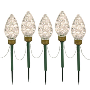 100Lt X 8.5'' Led Wmwti C9 5Pc Stake 24''S