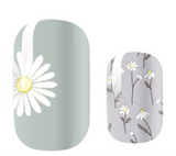 White Daisy Days