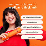 Amika Normcore Hydrating Conditioner