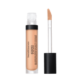 bareMinerals BAREPRO 16HR All Over Skin-Perfecting Matte Concealer Mineral SPF 25