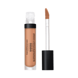 bareMinerals BAREPRO 16HR All Over Skin-Perfecting Matte Concealer Mineral SPF 25
