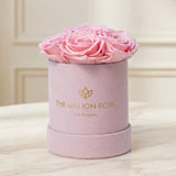 Essence Light Pink Suede Box | Light Pink Roses