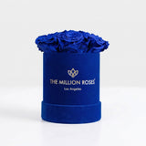 Essence Royal Blue Suede Box | Royal Blue Roses