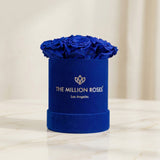 Essence Royal Blue Suede Box | Royal Blue Roses