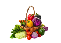 Grocery & Food