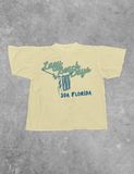 Lazy Beach Days, 30A Summer BC Boxy Cotton T-Shirt