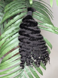 Burmese Curly