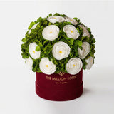 Classic Bordeaux Suede Box | White Persian Buttercups & Green Hydrangeas
