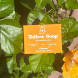 Tallow Soap Bar