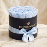 Classic Black Box | Light Blue Roses