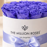 Classic White Box | Violet Roses