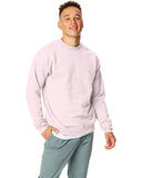 Unisex Ecosmart 5050 crewneck Sweatshirt cARDINAL S(D0102H7DFcX)