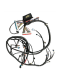 HPI 1997–2006 LS1 Standalone Wiring Harness Drive-By-Cable for 4L60E | 4.8 5.3 6.0 Vortec
