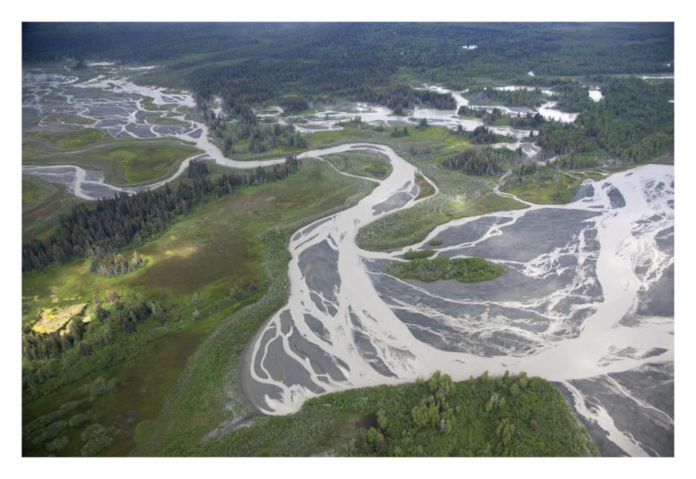 Kwik Stream In Taiga, Wrangell-St. Elias National Park, Alaska-Paper Art-32,,X22,,