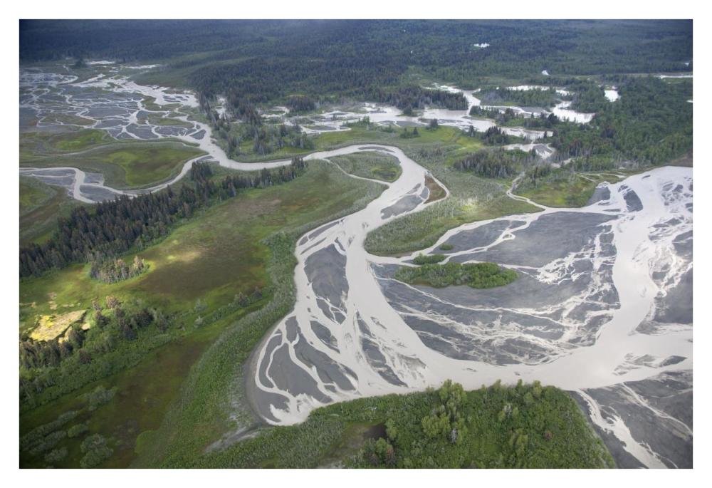 Kwik Stream In Taiga, Wrangell-St. Elias National Park, Alaska-Paper Art-38,,X26,,