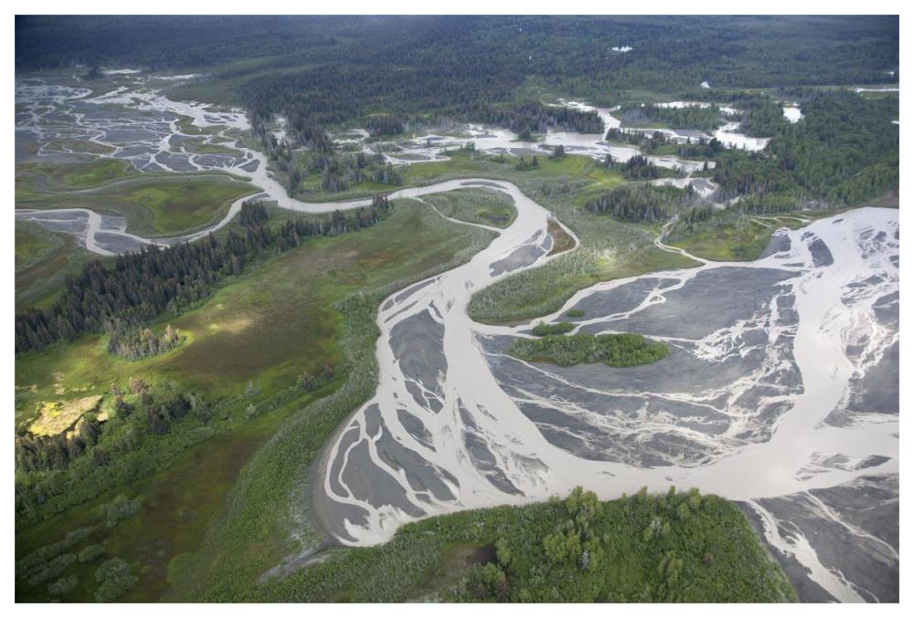 Kwik Stream In Taiga, Wrangell-St. Elias National Park, Alaska-Paper Art-62,,X42,,