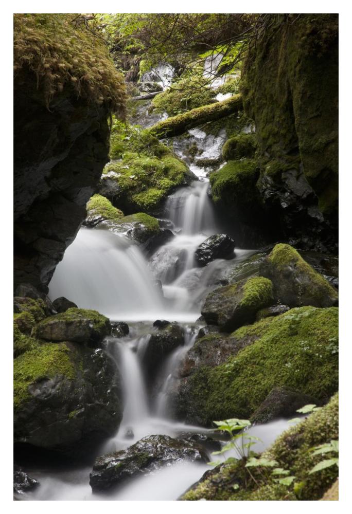 Cascading Creek In Temperate Rainforest Interior, Sitka, Alaska-Paper Art-14,,X20,,