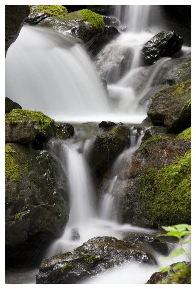 Cascading Creek In Temperate Rainforest Interior, Sitka, Alaska-Paper Art-42,,X62,,