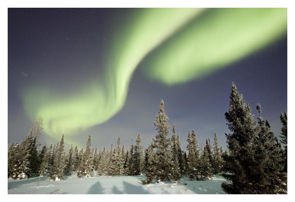 Northern Lights Or Aurora Borealis Over Boreal Forest, North America-Paper Art-20,,X14,,