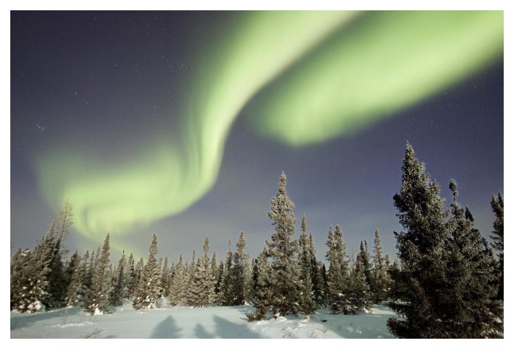 Northern Lights Or Aurora Borealis Over Boreal Forest, North America-Paper Art-50,,X34,,