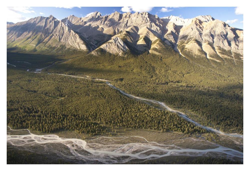 Mountains Above Coral Creek And Cline River, Jasper National Park, Alberta, Canada-Paper Art-38,,X26,,