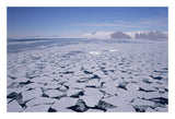 Sea Ice Break-Up, Aerial View, Transantarctic Mountains, New Harbour, Mcmurdo Sound, Ross Sea, Antarctica-Paper Art-26,,X18,,