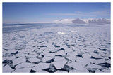 Sea Ice Break-Up, Aerial View, Transantarctic Mountains, New Harbour, Mcmurdo Sound, Ross Sea, Antarctica-Paper Art-50,,X34,,