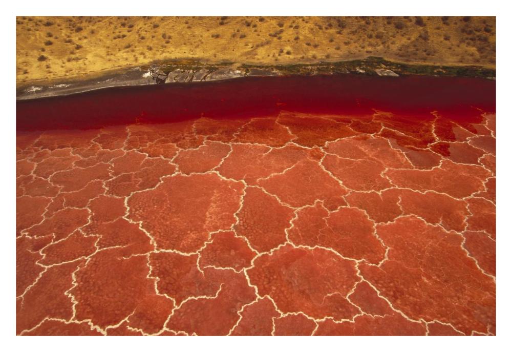 Soda Formations On The Surface Of Lake Natron, Tanzania, East Africa-Paper Art-32,,X22,,