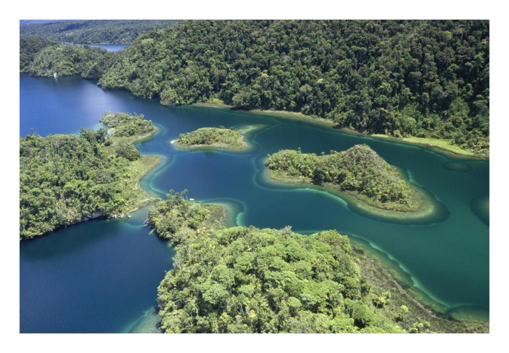 Islands At Southeast End Of Lake Kutubu In The Highlands, Papua New Guinea-Paper Art-26,,X18,,