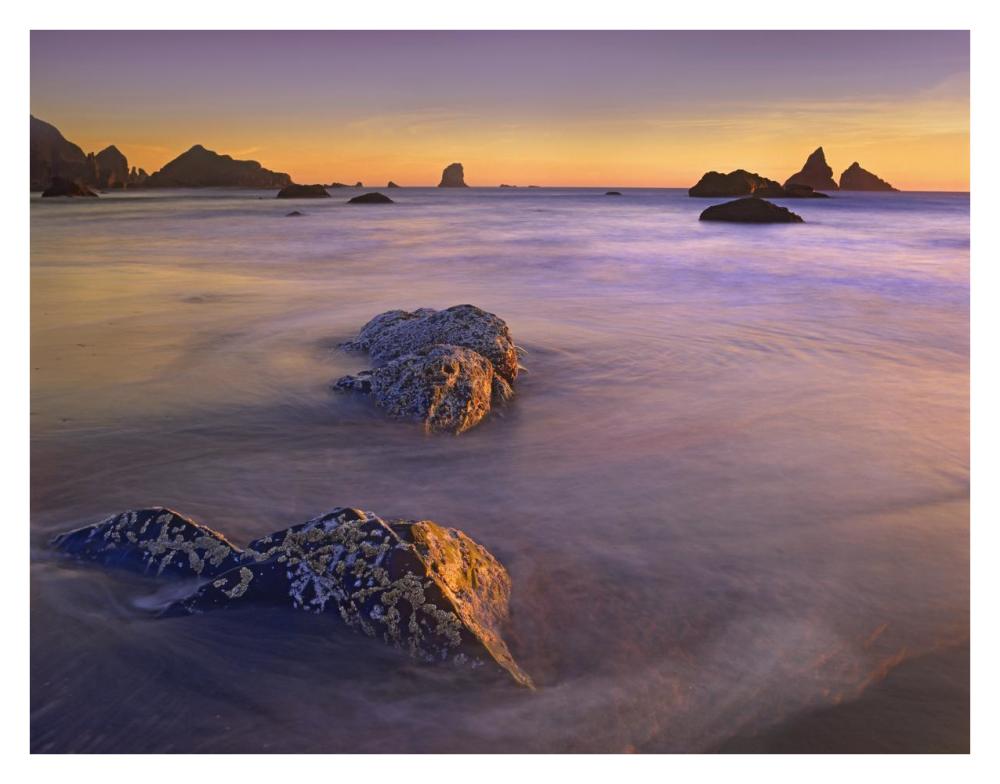 Coastline, Lone Beach, Oregon-Paper Art-34,,X26,,
