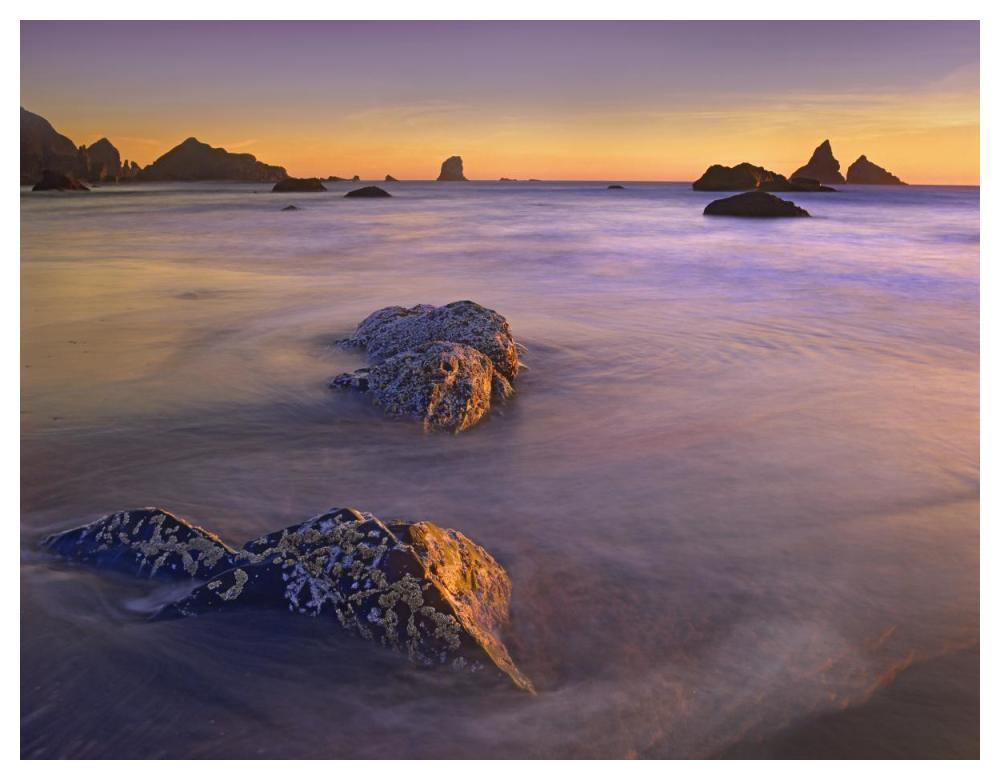 Coastline, Lone Beach, Oregon-Paper Art-50,,X38,,