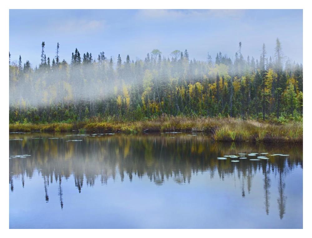 Fog Over Lake, Ontario, Canada-Paper Art-18,,X14,,