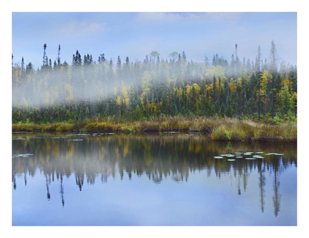 Fog Over Lake, Ontario, Canada-Paper Art-26,,X20,,