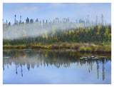 Fog Over Lake, Ontario, Canada-Paper Art-42,,X32,,