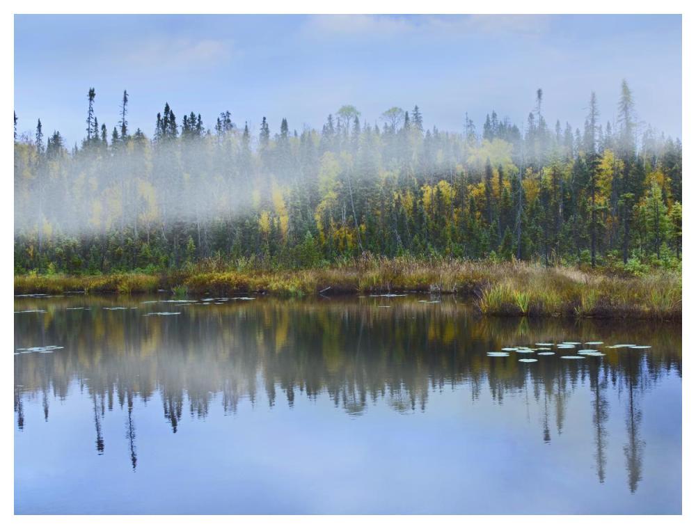 Fog Over Lake, Ontario, Canada-Paper Art-50,,X38,,
