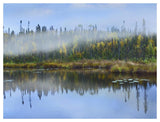 Fog Over Lake, Ontario, Canada-Paper Art-50,,X38,,