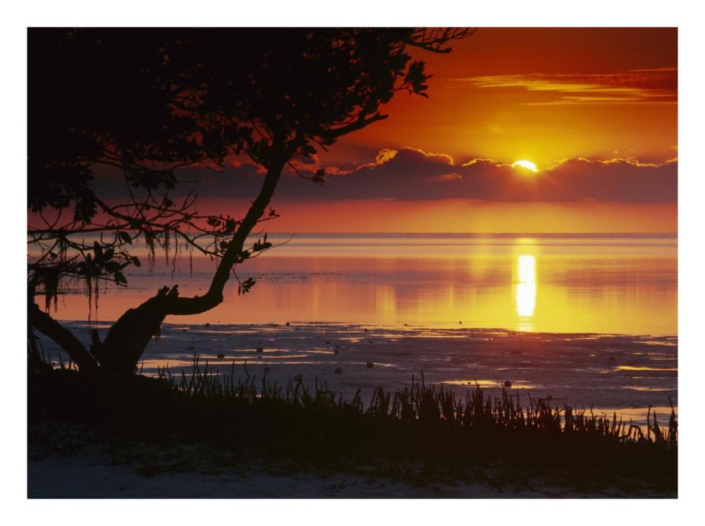 Sunset Over Anne'S Beach, Florida-Paper Art-26,,X20,,