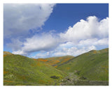 Temescal Hills, Southern California-Paper Art-18,,X14,,