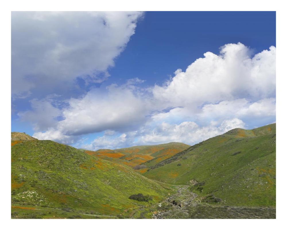 Temescal Hills, Southern California-Paper Art-26,,X20,,