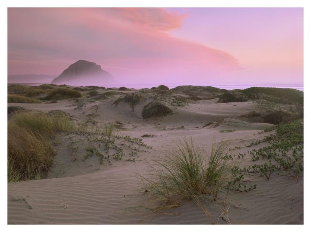 Morro Rock At Morro Bay, California-Paper Art-42,,X32,,