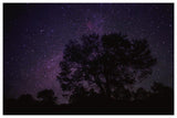 Starry Sky With Silhouetted Oak Tree-Paper Art-62,,X42,,