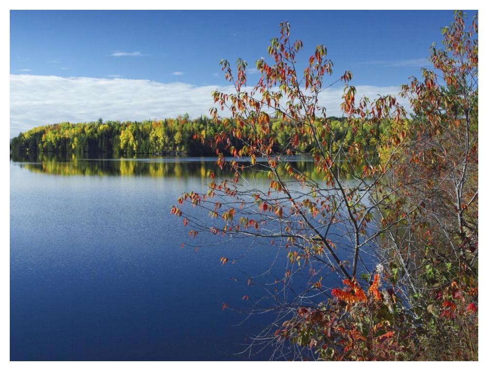 Tobique River, New Brunswick, Canada-Paper Art-50,,X38,,